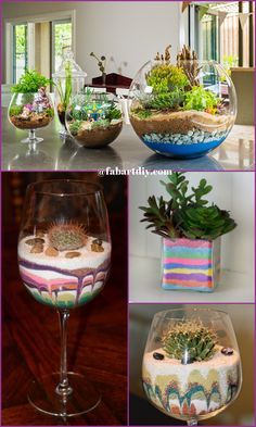 several different pictures of glass vases filled with plants and rocks, including succulents in them