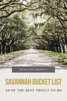 the cover of savannah bucket list, with trees lined up in rows and green grass