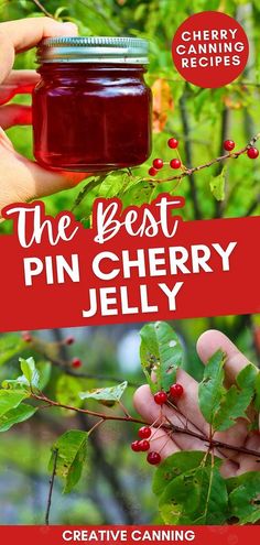 the best pin cherry jelly recipe is in this postcard style photo and it's easy to make