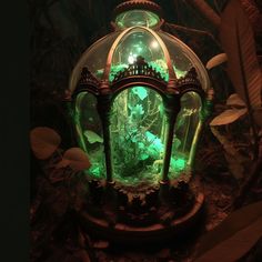 an aquarium with plants and fish in it is lit up by green light from the inside