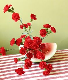 red carnations and watermelon slices are arranged on a striped tablecloth