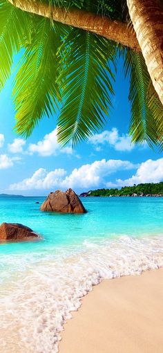 the beach is clear and blue with waves coming in from the water, under a palm tree