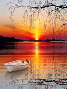 a small boat floating on top of a lake next to a tree in front of a sunset