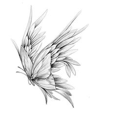 a black and white drawing of a bird's wing