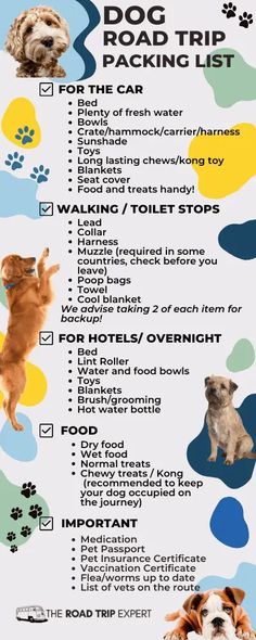 the road trip packing list for dogs