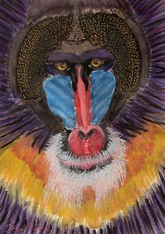 a drawing of a monkey's face with colorful feathers on its head and nose