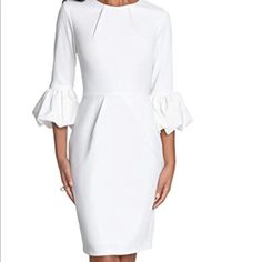 Bell Sleeves, Exposed Zipper On Back. Blush Feminine Fitted Mini Dress With Pleated Sleeves, Fitted Pleated Midi Dress For Brunch, Fitted Dress With Pleated Sleeves For Brunch, Fitted Midi Dress With Pleated Sleeves For Brunch, Chic White Dresses With Pleated Sleeves, Elegant Fitted Mini Dress With Pleated Sleeves, White Pleated Sleeve Dress For Work, White Pleated Sleeve Work Dress, Elegant Pleated Shift Dress