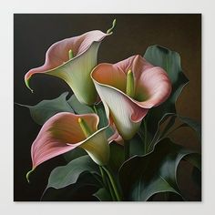 three pink calla lilies with green leaves on a black background canvas wall art print