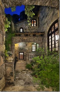 an old stone building with arched windows and plants growing on the side of it at night