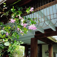 an image of the outside of a house with flowers hanging from it's roof