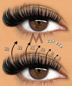 Cluster Lashes Cat Eye, Kitten Eye Mapping, Hybrid Cat Eye Lash Map, Lash Extensions Numbers, Lash Numbers, Doll Eye Lashes Extensions Map, Eyelash Mapping Styles, Eyelash Mapping Lash Extensions, Cluster Lash Mapping