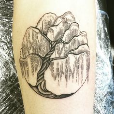 a black and white photo of a tree tattoo