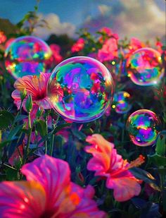 soap bubbles floating in the air over flowers