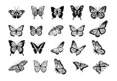 a collection of black and white butterflies