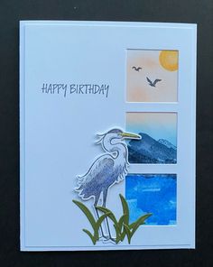 a birthday card with an image of a bird