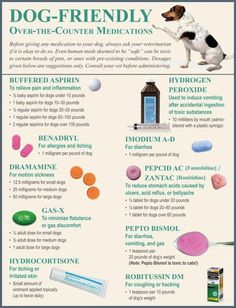 a poster describing the benefits of dog - friendly medicationss for dogs and their owners