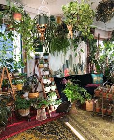 a room filled with lots of potted plants