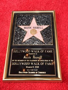 a star on the hollywood walk of fame is displayed in front of a red carpet