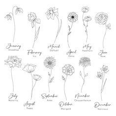 the different types of flowers that are in english and spanish language, with their names