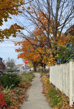 a white picket fence sitting next to a lush green park filled with trees and leaves