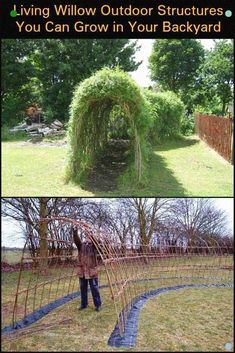 a man standing next to a lush green tree covered in vines and grass with the caption living willow outdoor structures you can grow in your backyard