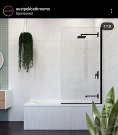 a bathroom with a plant hanging on the wall