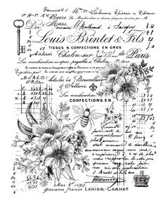 a black and white drawing of flowers on a sheet of paper with words written in french