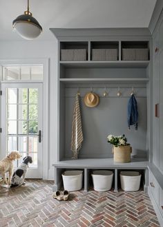 a dog is sitting on the floor in front of a coat rack and two baskets