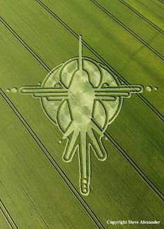 an aerial view of a green field with the shape of a bird on it's head