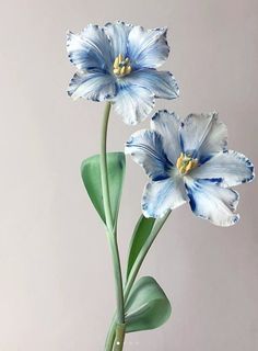 two blue and white flowers in a vase