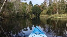 a blue kayak floating on top of a lake surrounded by trees