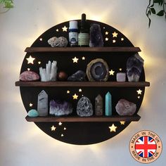 a wall mounted shelf filled with lots of different rocks and crystals next to a potted plant