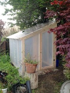 there is a small greenhouse in the yard with potted plants and other things around it