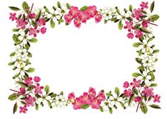 pink and white flowers are arranged in a square frame