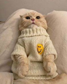 a cat sitting on top of a bed wearing a sweater with a smiley face drawn on it