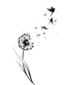 a dandelion blowing in the wind with two birds flying by on white background