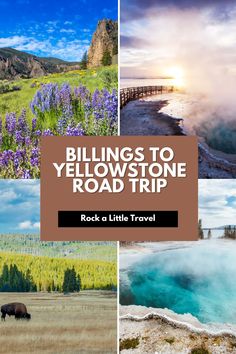 Images from Yellowstone National Park including the hot springs and a bison. Yellowstone Road Trip, Yellowstone Park, National Park Road Trip, Old Faithful, National Parks Usa, Trip Itinerary, Road Trip Itinerary