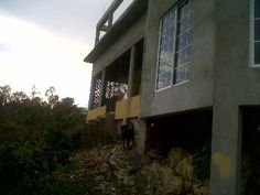 a dog is standing in the doorway of a house that has been built on top of a hill