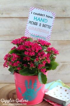 a pink flower pot sitting on top of a table next to a sign that says i couldn't have hand picked a better grandma