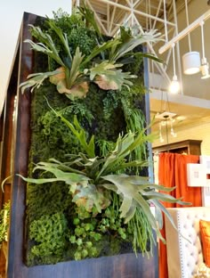 an indoor living wall with plants and other greenery