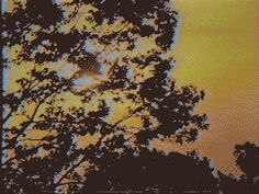 the silhouette of trees against an orange sky