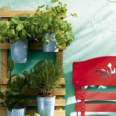 a red bench sitting next to two potted plants in front of a green wall