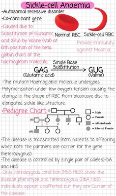 an info sheet with different types of text