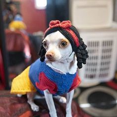 a small white dog wearing a red, blue and yellow sweater on top of a table