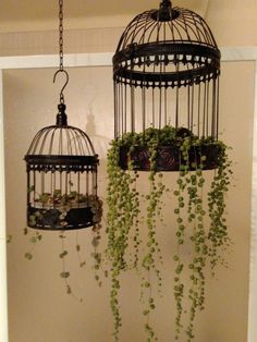 two birdcages with plants growing out of them hanging from the side of a wall