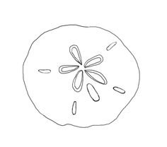 a drawing of a tomato with seeds on it's side and the top half cut off