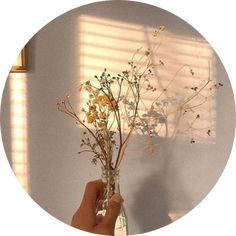 a person holding a vase with flowers in it and sunlight coming through the window behind them