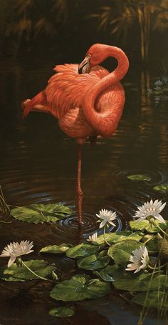 a painting of a pink flamingo standing in water with lily pads