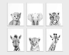 four black and white pictures of zebras, giraffes, and elephants