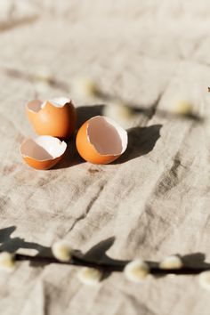 two broken eggs sitting on top of a table next to an egg shell and some leaves